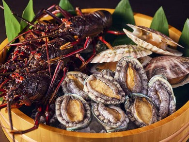 森本 極 コース