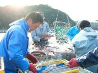 海と人が近いまち・高知宿毛、愛媛愛南海から届く旬の魚介。
生産者の顔が見える「ご馳走」を、東京で気軽に味わえる大衆酒場が凧、凧です。