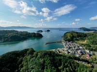 高知県・宿毛市で育つ希少な香酸柑橘「直七(なおしち)」。
酸味はまろやかで果肉はたっぷり。強すぎない味わいが料理の旨みを引き立てる。
この幻の柑橘"直七"を、お飲み物メニューにたっぷりと盛り込みました。