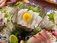 【2時間飲み放題付き】
鮮度抜群｢刺身3点盛り｣・名物｢牛すじ煮込み｣など全10品