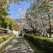 毎年綺麗な桜や紅葉を楽しめる閑静な住宅街。