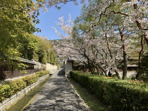 店舗周辺の景観