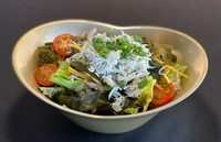 Fujiya salad Shirasu and vegetable