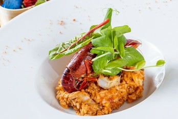 Circa1888 藤枝/その他各国料理 ネット予約可 | ヒトサラ