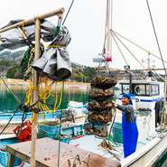 古くから牡蠣の養殖が盛んな気仙沼。浦の浜漁港にはおおむね10の漁場があり、シーズンになると毎日新鮮な牡蠣が水揚げされます。旬の時期もオフシーズンも【ごーるどすまいる】にはフレッシュな素材がそろいます。