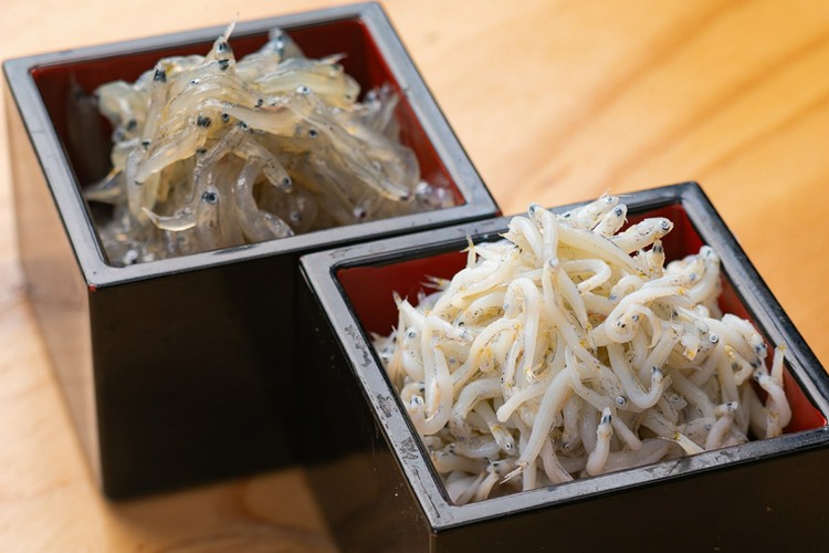 おしらす し～らすAQUA 呉/海鮮料理 | ヒトサラ