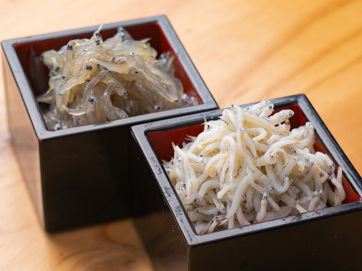 し～らすAQUA 呉/海鮮料理 料理人 村上 美穂 氏 | ヒトサラ