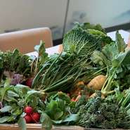 全国の生産者から届く食材の数々