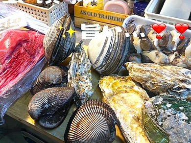 活きた貝（ほっき、赤貝、あわび、生ガキ、つぶ貝）