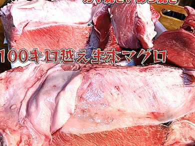 100キロ越えの、生本まぐろカマ下。