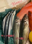 漁港直だから漁れたて格安にてご提供させて頂きます。
さんま刺し580円　あじのタタキ風380円　時期により多少の変動はあります。