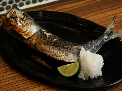 トロイワシ