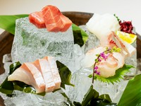 大阪市中央卸売市場東部市場で仕入れたその時のオススメの旬魚をお造りに。大きな氷を使ったこだわりの器に盛られており、清涼感溢れる一皿になっています。