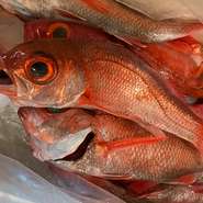 産地直送の魚にこだわり、全国18県48ヶ所の漁師から直送で仕入れるほか、自ら釣りに出向くことも。ノドグロなどの希少な素材に出合えるのも魅力です。豊かな食材に恵まれた日本の四季を改めて感じさせてくれます。