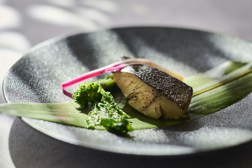 平日限定で、里山の旬をお届けする素材を取り寄せた前菜と、メインディッシュのランチコースです。