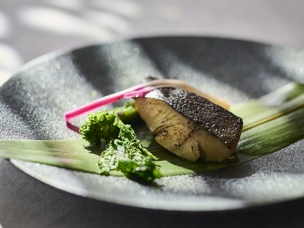 平日限定で、里山の旬をお届けする素材を取り寄せた前菜と、メインディッシュのランチコースです。