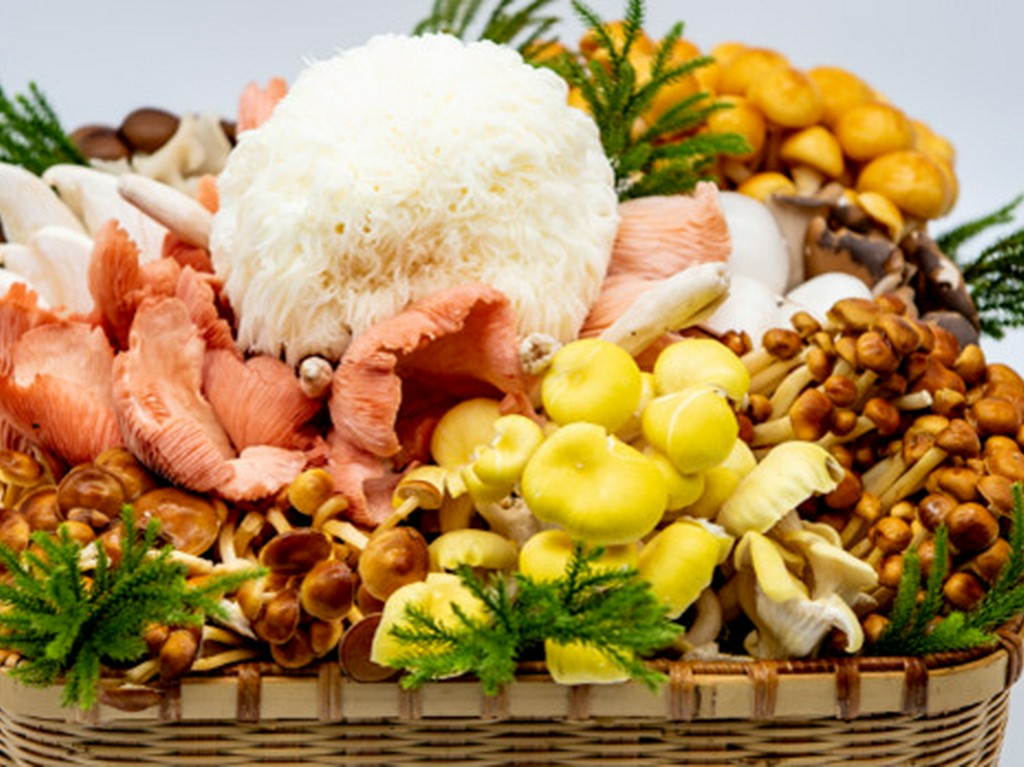 厳選素材を使用した『お1人様薬膳キノコ鍋セット』は一押し