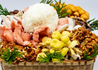 お1人様薬膳キノコ鍋セット