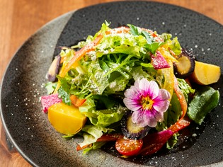 新鮮で今が旬のものにこだわり。全国各地の多彩な野菜を厳選