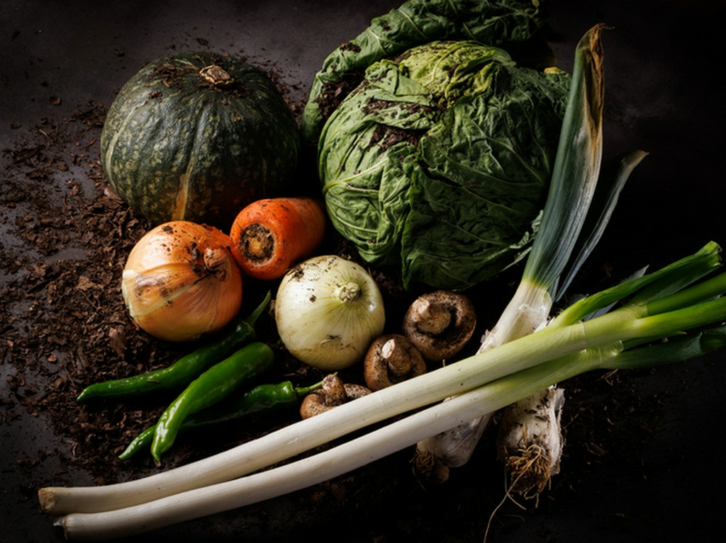 お野菜のこだわり