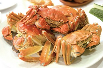 代表的な食材『上海蟹』