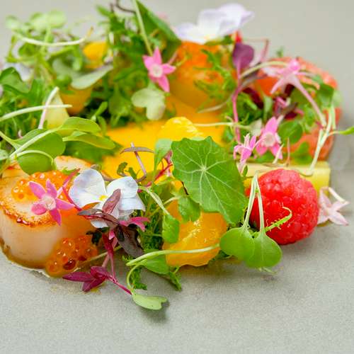 フランス料理 八尾市のフランス料理レストラン｜ボンシィクBON-CHIC