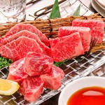 本日のおすすめ部位の盛り合わせ