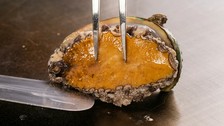 上品に仕上げられた選べる前菜や鮑、メインには黒毛和牛サーロインを味わえる贅沢なラインナップ。