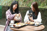EARTH DINING SUN BEAMSのウッドデッキスペースはペットも同伴可能！
愛犬と一緒に自然を感じながら、楽しいひとときをお過ごしください。