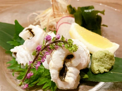肉厚な穴子を炙って香り高く仕上げた『境港産　真穴子炙り造り』