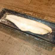 〈定番〉
ホイルに包んでお出しします。ロースターの上でお好みで焼いて、ホイル上でほぐしてお召し上がりください。