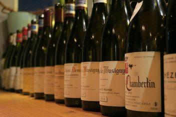 샐리 힐스(surryhills)