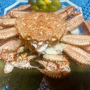 豊洲から活きた蟹を仕入れて、お店で茹でて提供。冷凍ものとは異なり、身がポロッと離れやすく、味わいも深いのが特徴です。季節によって蟹の種類が異なります。事前の予約が可能。