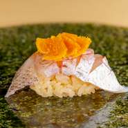 一粒一粒が圧倒的な存在感を放つ富山県産コシヒカリに、霧島天然水を加え炊き上げます。10年熟成の赤酢、米酢、木桶仕込みの黒酢、沖縄県産の天日塩が【鮨　かぐら】の「舎利」を形成します。