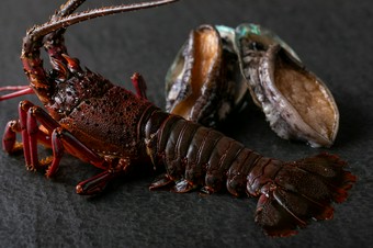 「イセエビ・あわびの鉄板焼き」を堪能できるコースとなっております。
