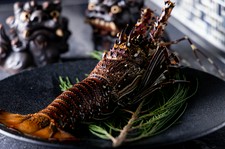 「イセエビの鉄板焼き」を堪能できるコースとなっております。