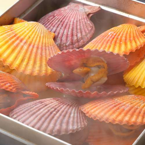 三毎 練馬/居酒屋 | ヒトサラ