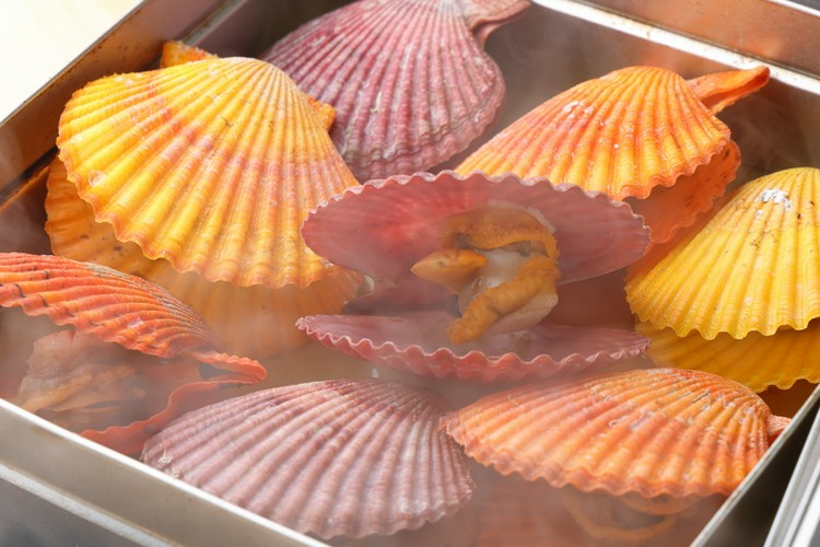 三毎 練馬/居酒屋 | ヒトサラ