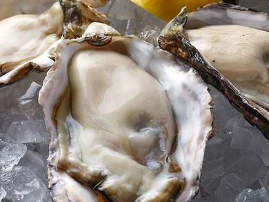 旬の生牡蠣、毎日入荷しております