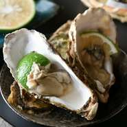 店主自身、魚料理が好きということもあり魚介の仕入れには特にこだわっています。旬のものを扱うのはもちろん、鮮度や身の大きさなども選りすぐり。納得のいく食材を仕入れています。