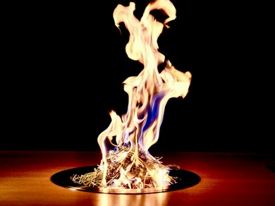 【炎上焼肉】五感で味わう京焼肉。忘れられない一皿