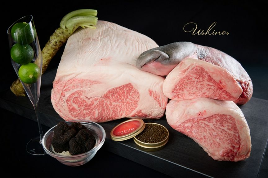 大切な人と非日常体験を共有できる、幸せなひとときを