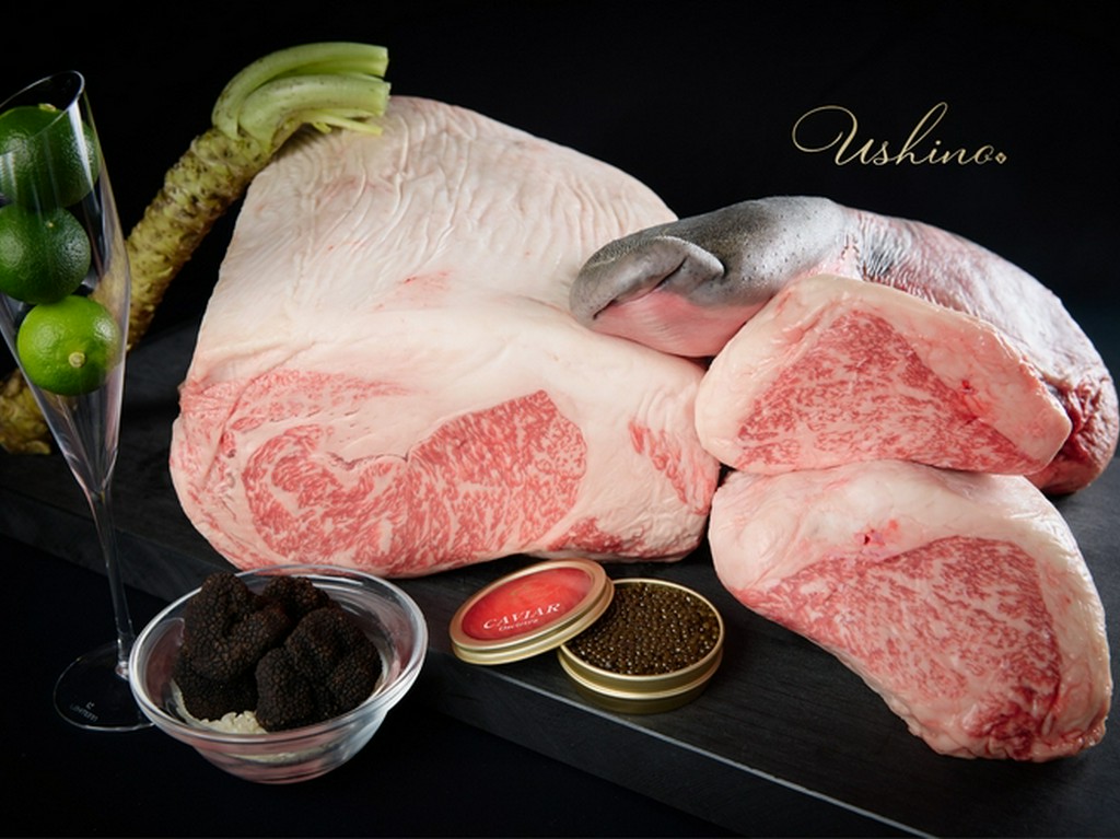 大切な人と非日常体験を共有できる、幸せなひとときを