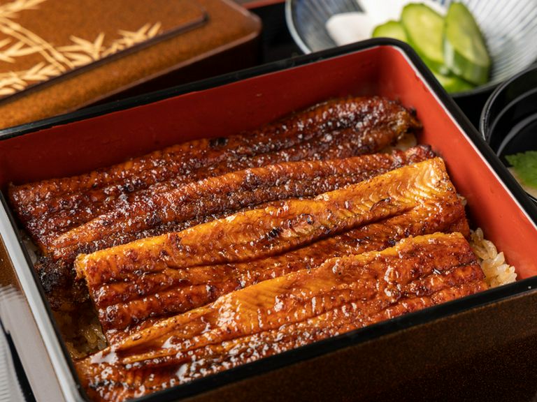 太丸鰻を一匹分楽しめる『うな重　特上』