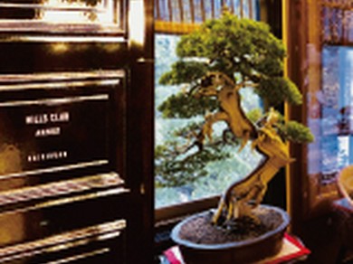 今宵は贅沢に大人の隠れ家二人の美食会