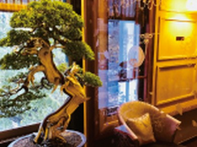 豪華で上質なプライベートな空間