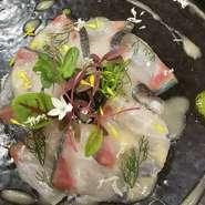 ※仕入れ状況を踏まえ、お刺身やカルパッチョ等、料理長がその日にメニューを決定しご提案させていただきます