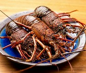 新鮮な海鮮もリーズナブルに！『活伊勢海老焼き【数量限定】』