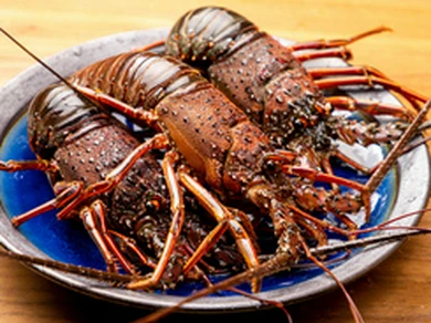 新鮮な海鮮もリーズナブルに!『活伊勢海老焼き(数量限定)』