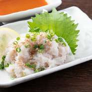 コリコリ食感がクセになる白センマイは、特製の味噌だれが味の決め手。ホルモンと相性抜群の旨辛味噌に一手間加えたタレで素材の旨みを引き出します。箸休めにもぴったりで、お酒が進む一品です。